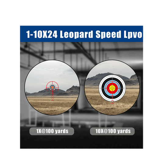 1-10x24 SFP PVO