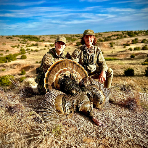 Turkey Hunting 101: The Ultimate Guide