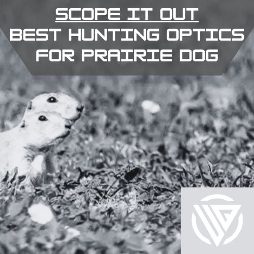 Scope It Out: Best Hunting Optics for Prairie Dog